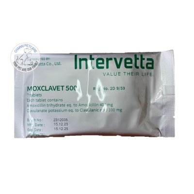 Moxclavet 500mg | ยาปฏิชีวนะ แก้หวัด ฆ่าเชื้อแบคทิเรียในเยื่อบุอ่อนสำหรับสุนัข ชนิดเม็ด (1 แผง บรรจุ 7 เม็ด)