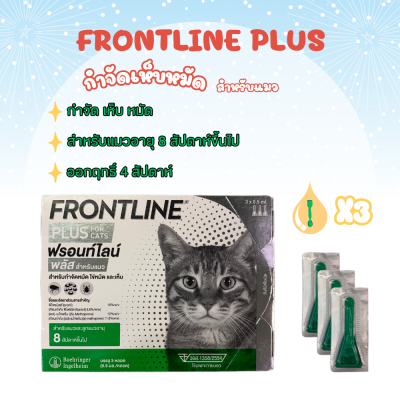 Frontline cat