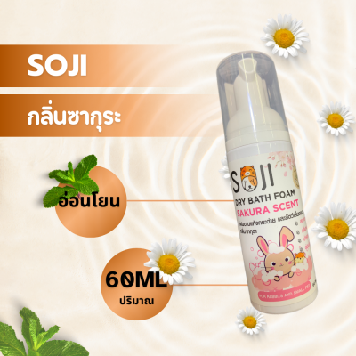 แชมพูอาบแห้ง