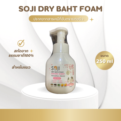 แชมพูอาบแห้ง