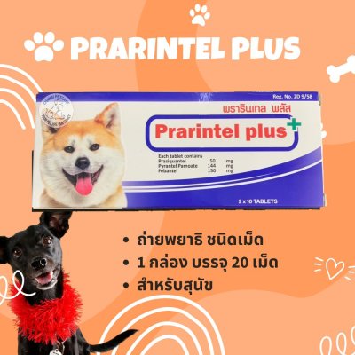 Prarintel Plus for Dog | ยาถ่ายพยาธิในทางเดินอาหารสำหรับสุนัข ชนิดเม็ด (1กล่อง บรรจุ 20 เม็ด)