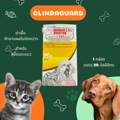 Clindaguard Solution | ยาฆ่าเชื้อรักษาแผลในช่องปาก เหงือกอักเสบ สำหรับสุนัขและแมว (20ml)