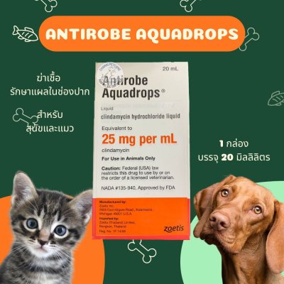 Antirobe Aquadrops | ยาฆ่าเชื้อรักษาแผลในช่องปาก เหงือกอักเสบ สำหรับสุนัขและแมว (20ml)