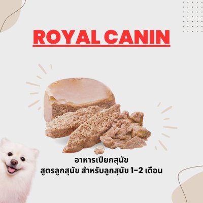 Royal Canin Starter