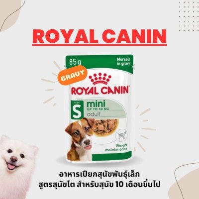 Royal Canin Adult Mini