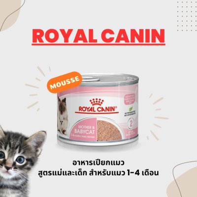 Royal Canin BabyCat