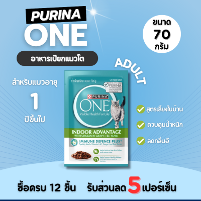 Purina One Indoor