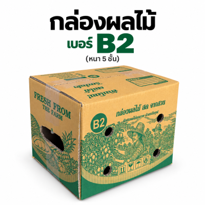 กล่องผลไม้เจาะรู เบอร์ B2 หนา 5 ชั้น