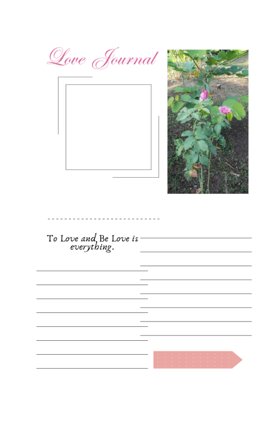 สมุดบันทึก ดีไซน์สวย Love Journal