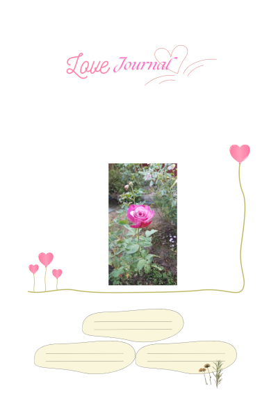 สมุดบันทึก ดีไซน์สวย Love Journal