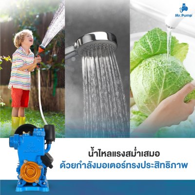 Mr.Pump ปั๊มน้ำอัตโนมัติ 370 วัตต์ 1x1 นิ้ว รุ่น EQS370A ประกัน 6 เดือน