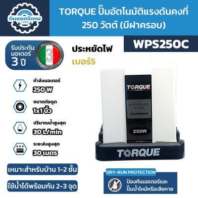 Torque ปั๊มอัตโนมัติแรงดันคงที่ 250 วัตต์ WPS250C