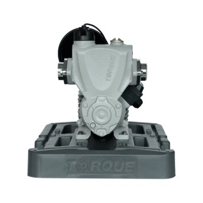 TORQUE ปั๊มอัตโนมัติแรงดันคงที่มีฝาครอบ 350 วัตต์ 1x1 นิ้ว รุ่น WPS350C