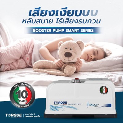 TORQUE ปั๊มอัตโนมัติ SMART SERIES รุ่น SMART300D