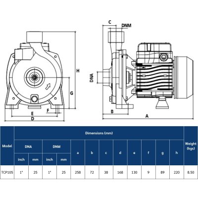TORQUE ปั๊มน้ำหอยโข่งไฟฟ้า 0.5HP 1x1นิ้ว 220V รุ่น TCP105