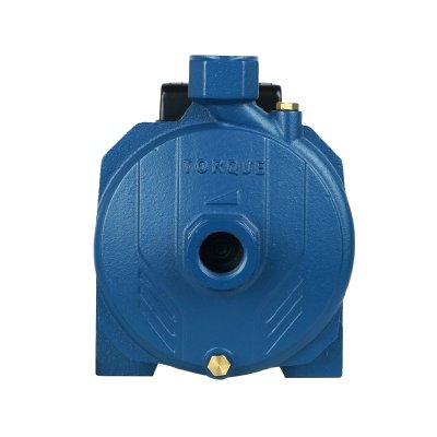 TORQUE ปั๊มน้ำหอยโข่งไฟฟ้า 1"x1" 1HP 220V รุ่น TCP110