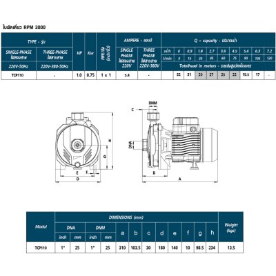 TORQUE ปั๊มหอยโข่งไฟฟ้า 1HP 1x1นิ้ว 220V รุ่น TCP110