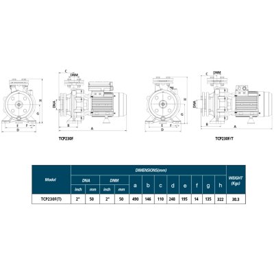 TORQUE ปั๊มหอยโข่งไฟฟ้า รุ่น TCP230F(T)