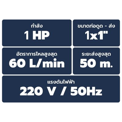 TORQUE ปั๊มหอยโข่งหัวสแตนเลส 1HP 1x1นิ้ว 220V รุ่น TJS100