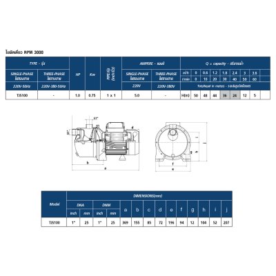 TORQUE ปั๊มหอยโข่งหัวสแตนเลส 1HP 1x1นิ้ว 220V รุ่น TJS100