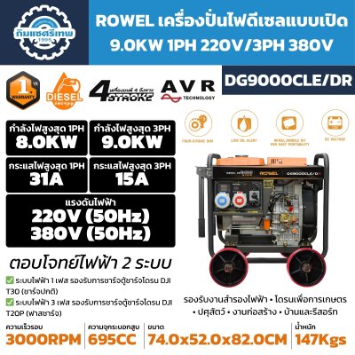 เครื่องปั่นไฟดีเซล ROWEL DG9000CLE/DR