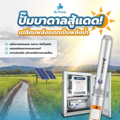 ปั๊มบาดาลโซล่าเซลล์ DC บ่อ 4" 750 วัตต์ รูน้ำ 2 นิ้ว 7 ใบพัด รุ่น 6DC55/750-4 ปั๊มบาดาลโซล่าเซลล์ DC บ่อ 4" 750 วัตต์ รูน้ำ 2 นิ้ว 7 ใบพัด รุ่น 6DC55/750-4