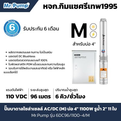 ปั๊มบาดาลโซล่าเซลล์ AC/DC (M) บ่อ 4" 1100 วัตต์ รูน้ำ 2 นิ้ว 11 ใบพัด รุ่น 6DC96/1100-4/M