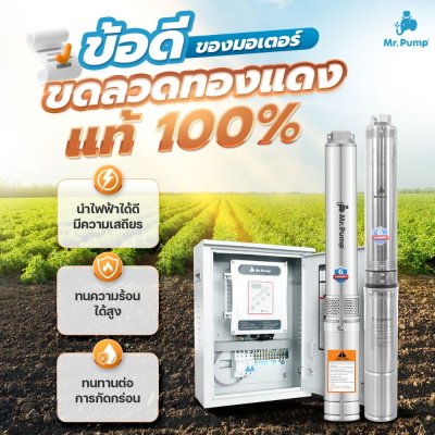 ปั๊มบาดาลโซล่าเซลล์ AC/DC (A) บ่อ 4" 1500 วัตต์ รูน้ำ 2 นิ้ว 10 ใบพัด รุ่น 15DC75/1500-4/A