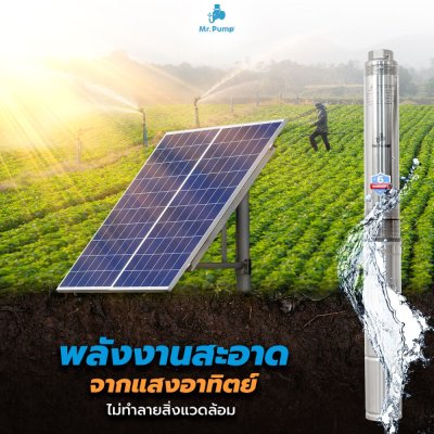 ปั๊มบาดาลโซล่าเซลล์ DC บ่อ 4" 750 วัตต์ รูน้ำ 2 นิ้ว 7 ใบพัด รุ่น 6DC55/750-4 ปั๊มบาดาลโซล่าเซลล์ DC บ่อ 4" 750 วัตต์ รูน้ำ 2 นิ้ว 7 ใบพัด รุ่น 6DC55/750-4