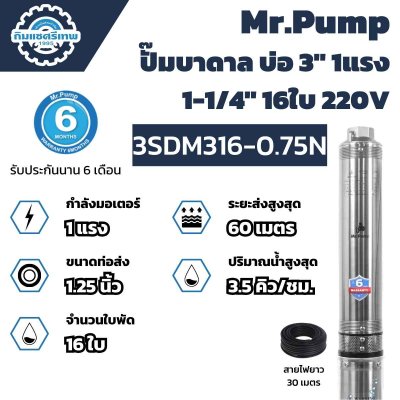 Mr.Pump ปั๊มบาดาล บ่อ 3" 1 แรง 1-1/4" 16 ใบพัด 3SDM316-0.75N