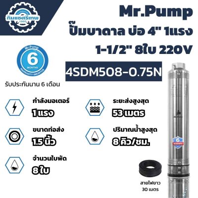 Mr.Pump ปั๊มบาดาล บ่อ 4" 1 แรง 1-1/2" 8 ใบพัด 4SDM508-0.75N