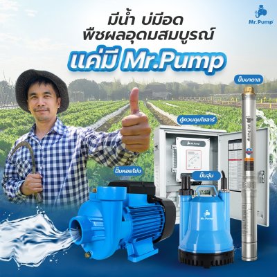 Mr.Pump ปั๊มบาดาล ซับเมอร์ส บ่อ 3" 0.5 แรง 1-1/4" 11 ใบพัด 220 V รุ่น 3SDM211-0.37N ประกัน 6 เดือน