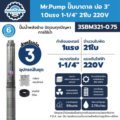 ปั๊มบาดาล มิสเตอร์ปั๊ม 3SBM321-0.75