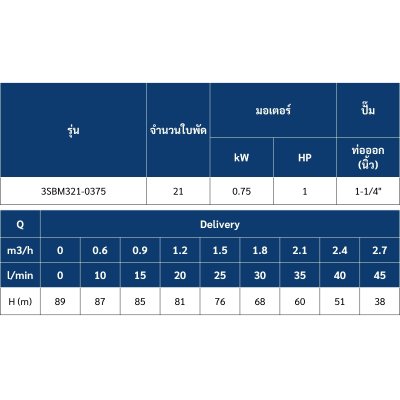 ปั๊มบาดาล MR.PUMP บ่อ 3" 1.0 แรง ท่อส่ง 1-1/4" 21 ใบพัด 220 V รุ่น 3SBM321-0.75 (พร้อมกล่องคอนโทรล)