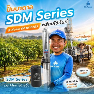 Mr.Pump ปั๊มบาดาล บ่อ 3" 1.0HP ท่อส่ง 1-1/2" 16ใบพัด 220V รุ่น 3SDM316-0.75NB