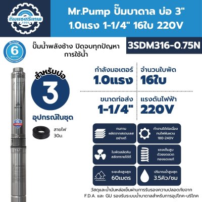 ปั๊มบาดาล มิสเตอร์ปั๊ม 3SDM316-0.75N