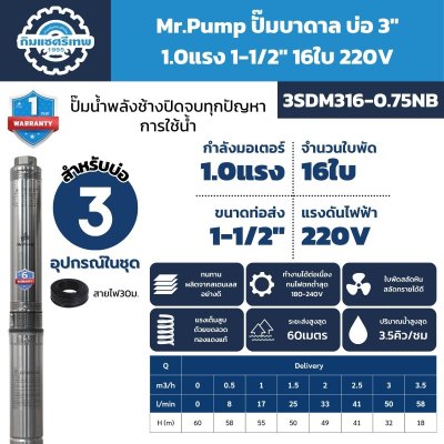ปั๊มบาดาล Mr.Pump 3SDM316-0.75NB บ่อ 3 นิ้ว 1.0HP 220V 16 ใบพัด ส่งสูงสุด 60 เมตร