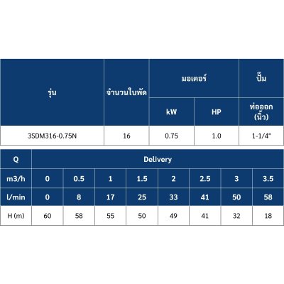 ปั๊มบาดาล MR.PUMP บ่อ 3" 1.0 แรง ท่อส่ง 1-1/4" 16 ใบพัด 220 V รุ่น 3SDM316-0.75N