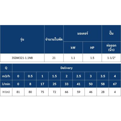 Mr.Pump ปั๊มบาดาล บ่อ 3" 1.5HP ท่อส่ง 1-1/2" 21ใบพัด 220V รุ่น 3SDM321-1.1NB