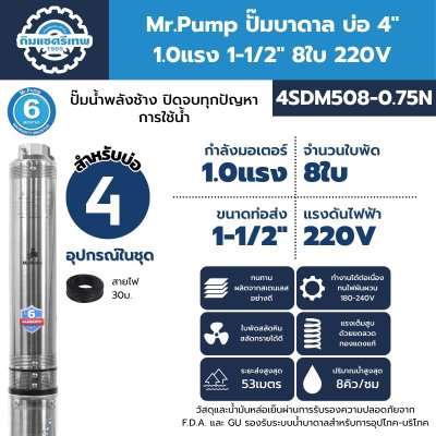 ปั๊มบาดาล มิสเตอร์ปั๊ม 4SDM508-0.75N