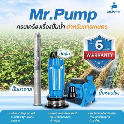 ปั๊มบาดาล MR.PUMP บ่อ 4" 2 แรง ท่อส่ง 1-1/2" 28 ใบพัด 220 V รุ่น 4SBM228-1.50 (พร้อมกล่องคอนโทรล)