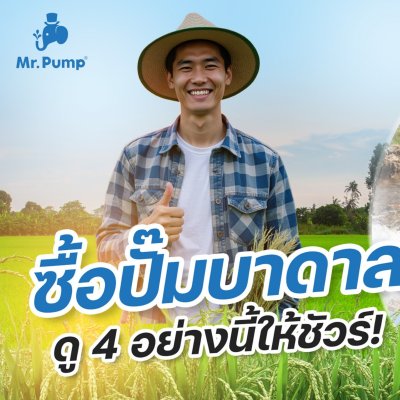 ปั๊มบาดาล MR.PUMP บ่อ 4" 2 แรง ท่อส่ง 1-1/2" 28 ใบพัด 220 V รุ่น 4SBM228-1.50 (พร้อมกล่องคอนโทรล)