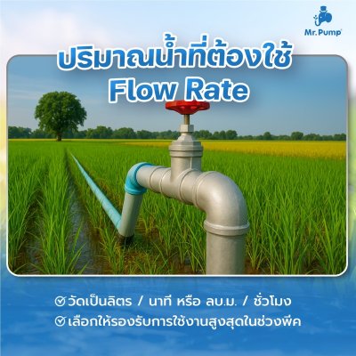 ปั๊มบาดาล MR.PUMP บ่อ 4" 2 แรง ท่อส่ง 1-1/2" 28 ใบพัด 220 V รุ่น 4SBM228-1.50 (พร้อมกล่องคอนโทรล)