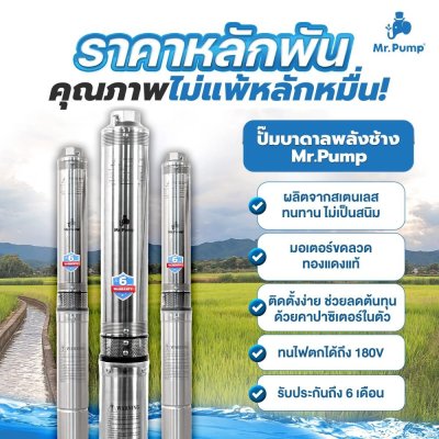 ปั๊มบาดาล Mr.Pump บ่อ 3" 1.5 แรง ท่อส่ง 1-1/4" 21 ใบพัด 220 V รุ่น 3SDM321-1.1N