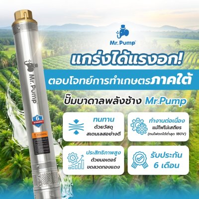 ปั๊มบาดาล MR.PUMP บ่อ 3" 1.0 แรง ท่อส่ง 1-1/4" 21 ใบพัด 220 V รุ่น 3SBM321-0.75 (พร้อมกล่องคอนโทรล)
