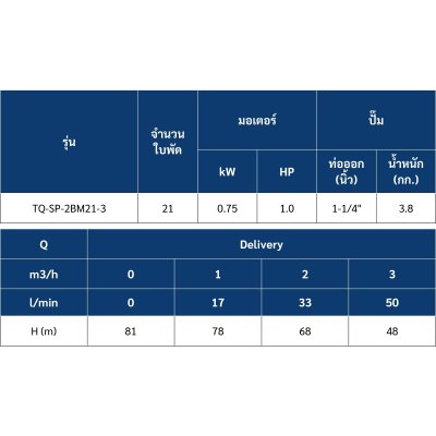 ซับเมอร์ส ปั๊มบาดาล TORQUE บ่อ 3" 1 แรง ท่อส่ง 1-1/4" 21 ใบพัด 220 V รุ่น TQ-SP-2BM21-3/S