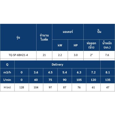 ปั๊มบาดาล TORQUE บ่อ 4" 3 แรง ท่อส่ง 2" 21 ใบพัด 220 V รุ่น TQ-SP-6BH21-4/S