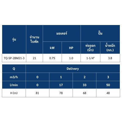 ปั๊มบาดาล TORQUE บ่อ 3" 1.0 แรง ท่อส่ง 1-1/4" 21 ใบพัด 220 V รุ่น TQ-SP-2BM21-3/S (ไม่รวมสายไฟ)