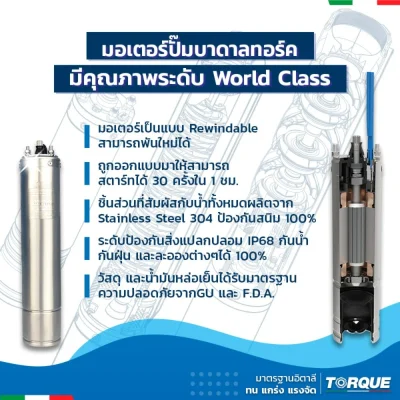 ปั๊มบาดาล TORQUE บ่อ 4" 1 แรง ท่อส่ง 1-1/2" 9 ใบพัด 220 V รุ่น TQ-SP-4BM09-4/S