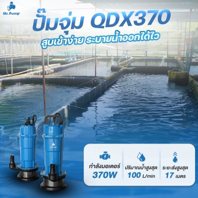 Mr.Pump ปั๊มจุ่ม ไดโว่ ขนาด 370 วัตต์ ท่อส่ง 1" รุ่น QDX370